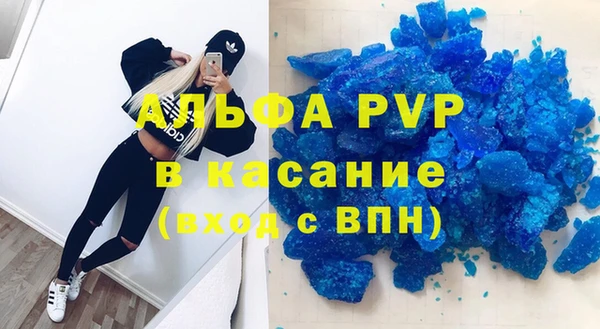 круглые Белокуриха